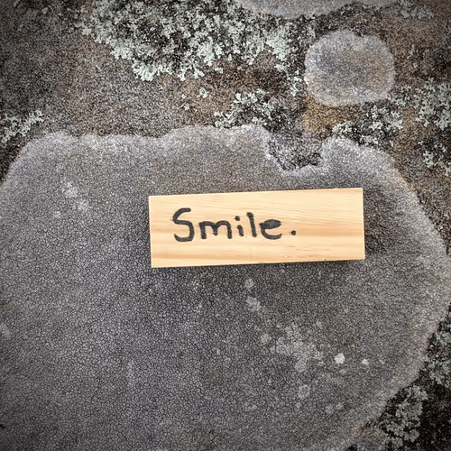 Item #39075669952795110311488058078452160275975432518977374571902800553044088979457 Media