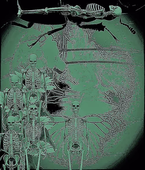 Item #85043563857425734787029872858228068518532895461354812368453170817558269394945 Media