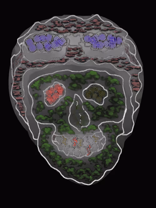 Item #80926432860847288351557924068159633664804178470775081465336394914834637914113 Media