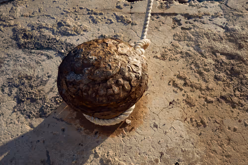 Item #99206175731752603969632246751396839615347692654100145142238794289598968102914 Media