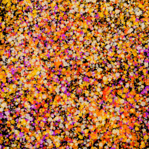 Item #7965548957634048696058756427613810033332288381231321723297303194392621744129 Media