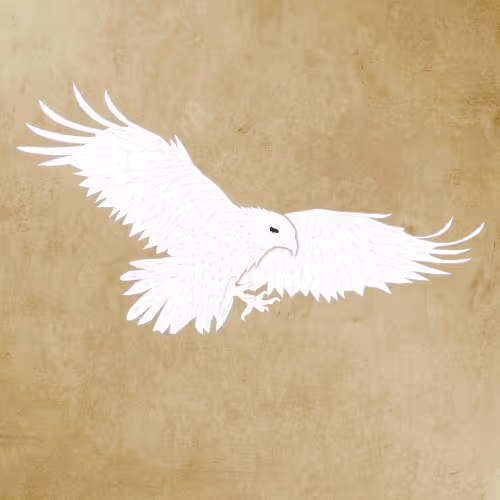 Item #20896448118686648895018850071563603312663007578941629509204544149486158479361 Media