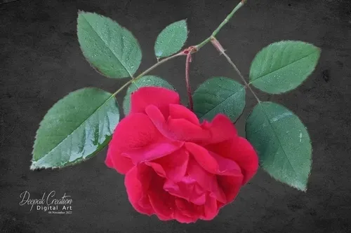 Item #54982935848129991973556064689647480390460762275352014366591179423219678445569 Media