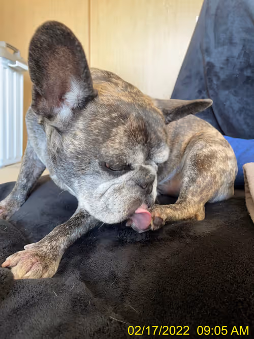 Item #99685864258770601277757069699041273913103300030191572471139504607560864890881 Media