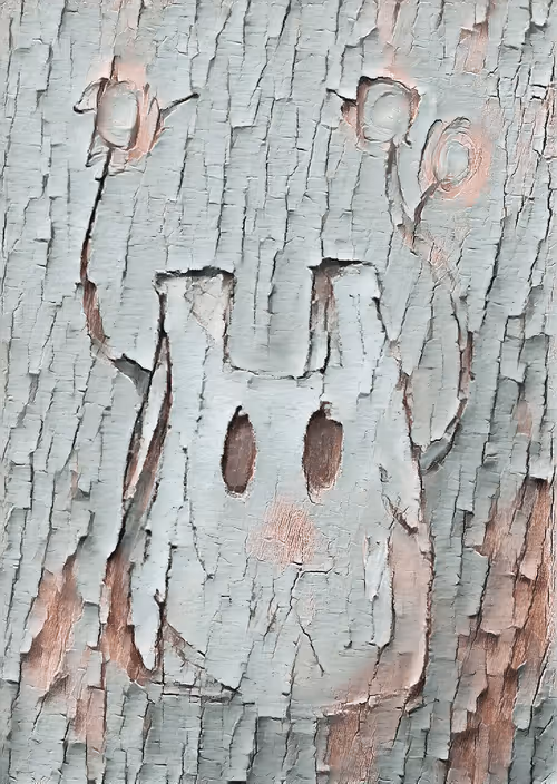 Item #95042035495854721964658389976451590673054810699074881760102313110655729664001 Media