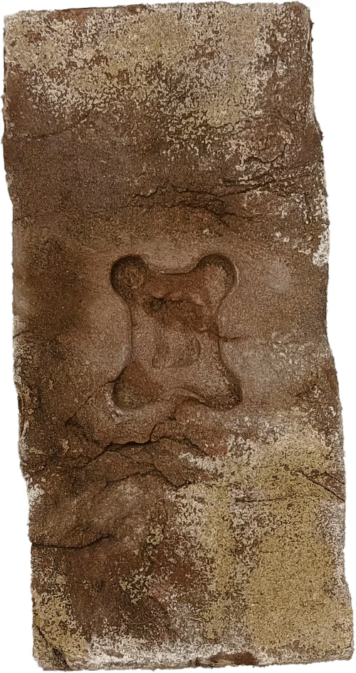 Item #73194705281701025861912132659705259899383078261166353176173450377649989877761 Media