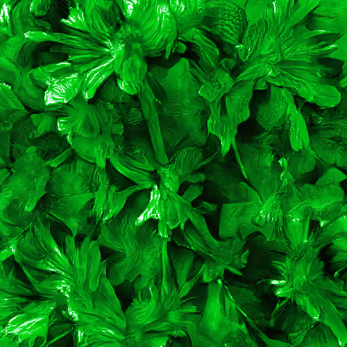 Item #44746796731085357393502411190502551616164880256621162007128758316421680726017 Media