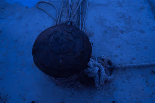 Item #99206175731752603969632246751396839615347692654100145142238794225827293691906 Media