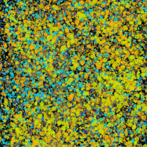 Item #7965548957634048696058756427613810033332288381231321723297303700167970521089 Media