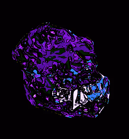 Item #80926432860847288351557924068159633664804178470775081465336394968710707675137 Media