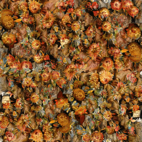 Item #44746796731085357393502411190502551616164880256621162007128758293331936542721 Media