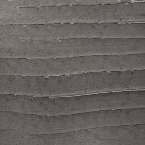 Item #58241160855422744817468407088196322100109565521561100950236907825175738712065 Media