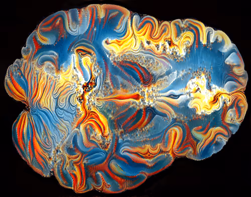 Item #29877578668728852178902598419785793077778618348046200683544678268970060480513 Media