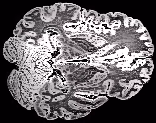 Item #41797469363834440502181864758100633672867482759361067528328297313554768330753 Media