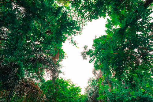 Item #68974856610287891345398477420152131783231641207281089982933452470336085819393 Media