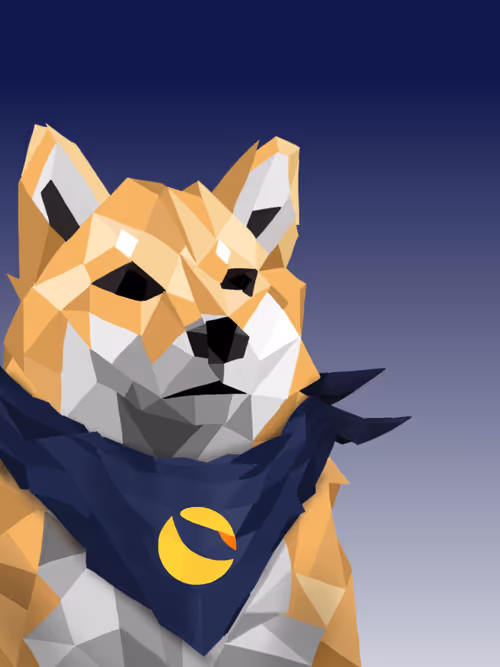 Item #55091059330006531830657325562179031398642526246879504723389071899761894752257 Media