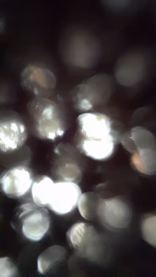 Item #63526853826198392406713632396927402135377910801782658572975433536632925454337 Media