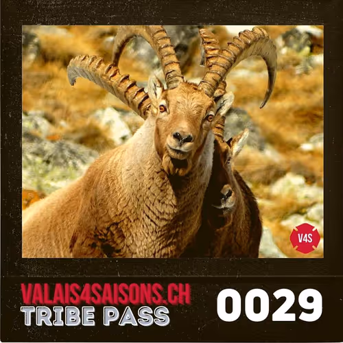 Item #39786290344722078492380092335018152769613718580951651570433323122763153539073 Media