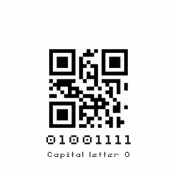 19881277009559011557562946224838286757794806641880668628789081756743063568385