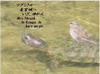 Item #105860209069510851658697483595549526517143773271628059867265555039095145627649 Media