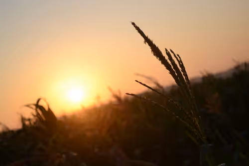 Item #106365691963293515461668542924665813938706478634407717375484205391173585469445 Media