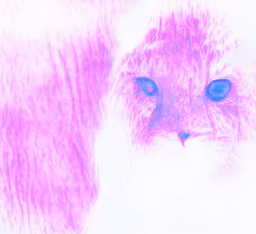 Item #81389452228015721923544690746270190594299388963234071450728085721981745365012 Media