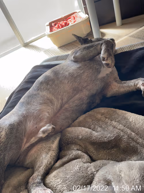 Item #99685864258770601277757069699041273913103300030191572471139504643844748607489 Media