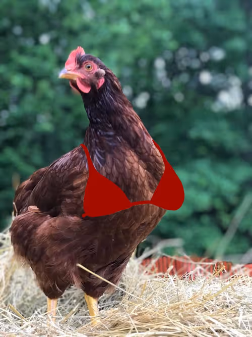 Item #94805265999709624542573221324772378019818175988873368548427765406292103921665 Media