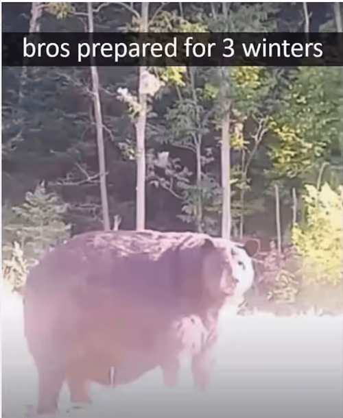 Item #87674725464676067047649949941263424849358648259153772692292580625738276798465 Media