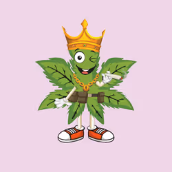 91388360688373327635579820732488516580785449605056093369104029442673475584001