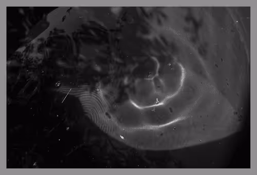 Item #39235584922614142939660206561436219704889843519746520476094237020131384360961 Media