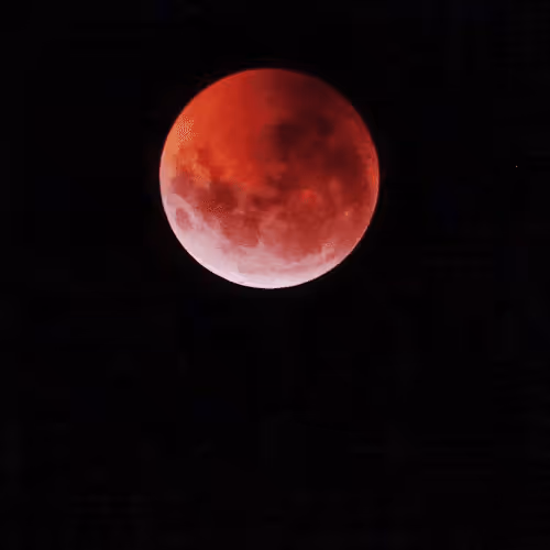 Item #21019612794589128848867699780966654522710062301252534311625038163118378713089 Media