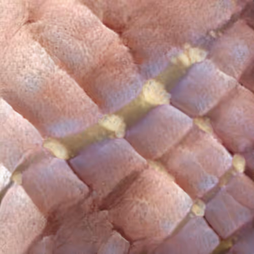 Item #58241160855422744817468407088196322100109565521561100950236906790535296974849 Media