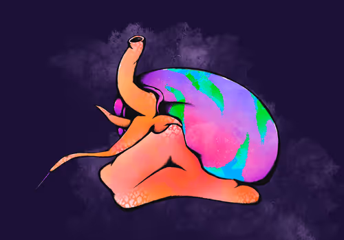 Item #18973602242536162022137061754025490174653250976328752625544697697773111214081 Media