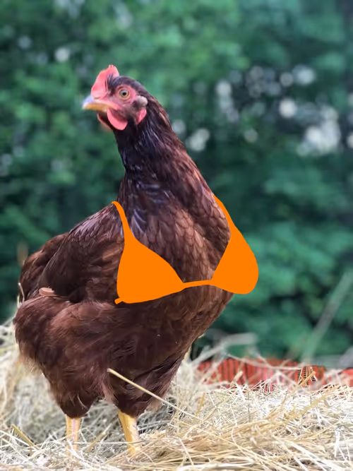 Item #94805265999709624542573221324772378019818175988873368548427765405192592293889 Media