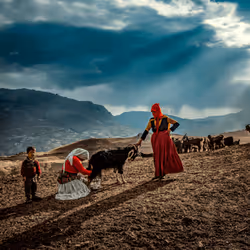 항목 미디어 플레이스홀더