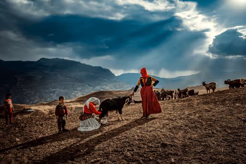 アイテム メディア プレースホルダー