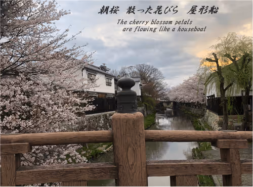 Item #105860209069510851658697483595549526517143773271628059867265555035796610744325 Media