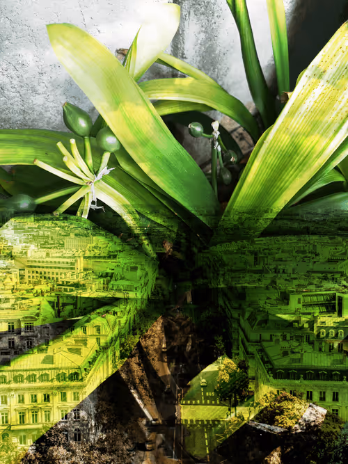 Item #102513444731287889693480624128772563874392981561055662145361919416955035451393 Media