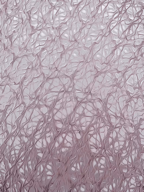 Item #26363452696448564677607507811535355388888413099510016234842399955965792223233 Media