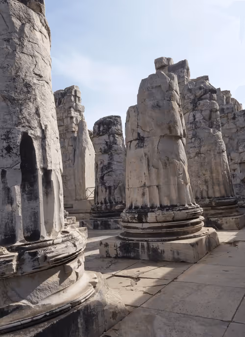 Item #26363452696448564677607507811535355388888413099510016234842399889995094556673 Media