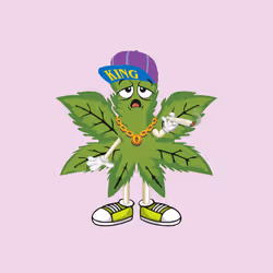 91388360688373327635579820732488516580785449605056093369104029430578847678465