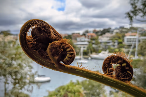 Item #39075669952795110311488058078452160275975432518977374571902800547546530840577 Media