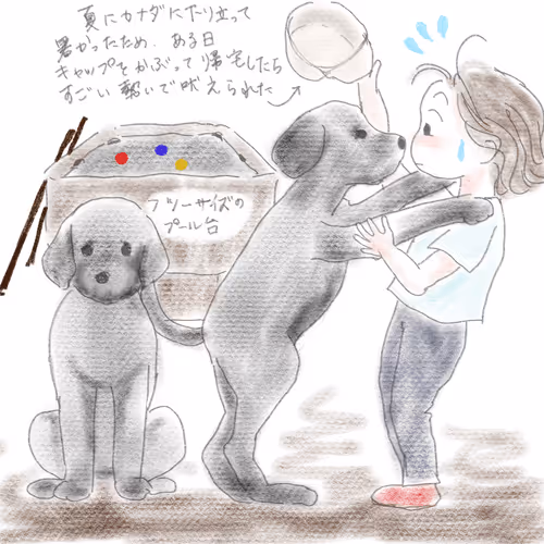 Item #67128250077476442437693318915737360643859879957981809347699965945923560800257 Media