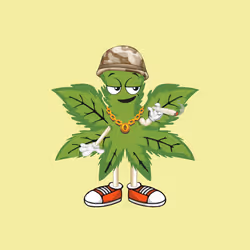 91388360688373327635579820732488516580785449605056093369104029355812056989697