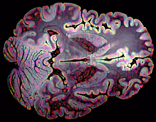 Item #29877578668728852178902598419785793077778618348046200683544678215093990719489 Media