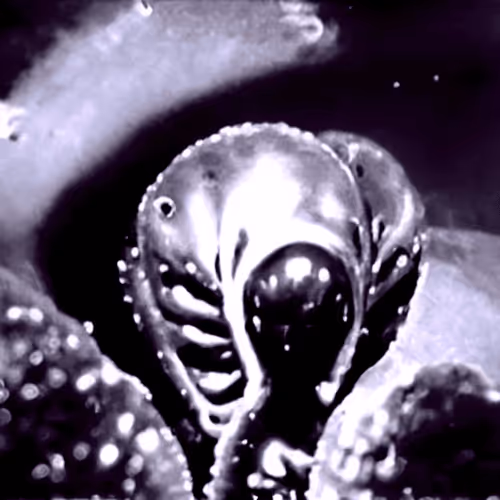 Item #60234905833956582174656365535710111446837828457137235760294629394204067889153 Media