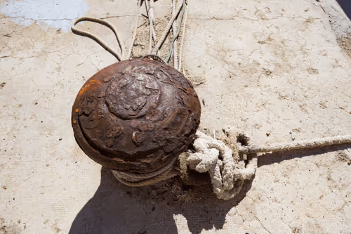 Item #99206175731752603969632246751396839615347692654100145142238794274205805314049 Media