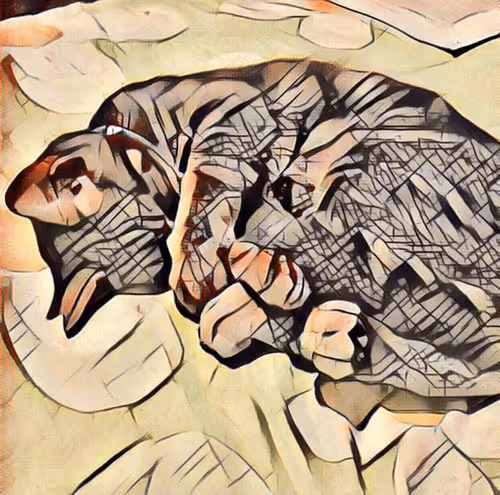 Item #49698930812034754687834699509278009210064520846457755747289507991774975492098 Media