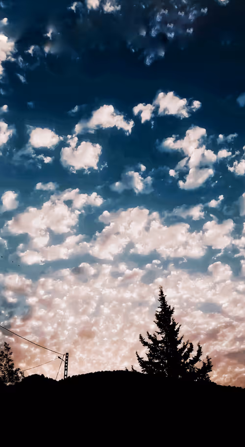 Item #112643705971008067726643793676849941688373610441661815483417522041070532165633 Media